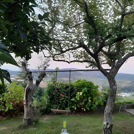 Tatil Evi Casa Dos Bisavos- Slow Down Na Rota Do Romanico