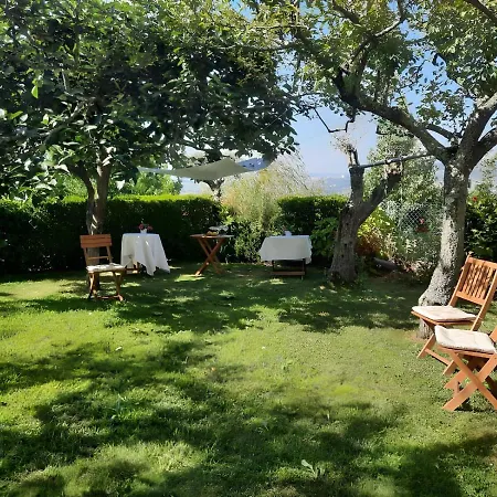Casa Dos Bisavos- Slow Down Na Rota Do Romanico Holiday home