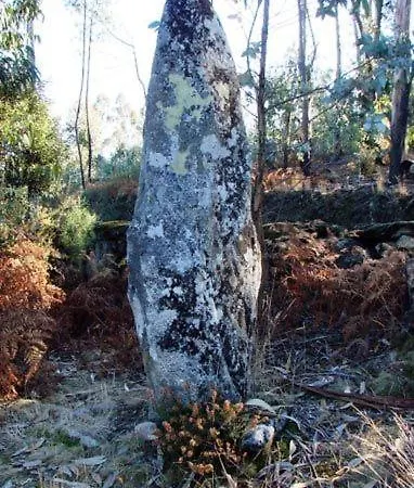 Casa Dos Bisavos- Slow Down Na Rota Do Romanico Tatil Evi Porto