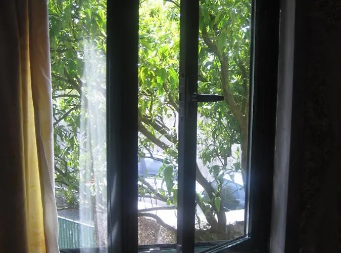 Casa Dos Bisavos- Slow Down Na Rota Do Romanico * Oporto