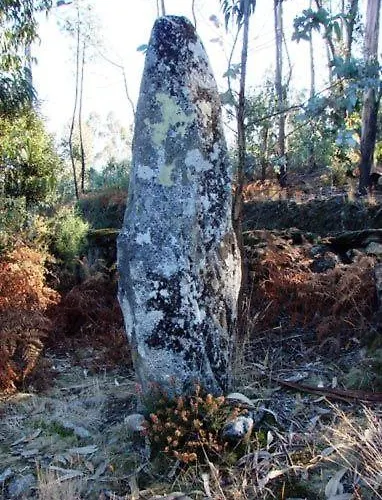 Casa Dos Bisavos- Slow Down Na Rota Do Romanico Σπίτι διακοπών Πόρτο