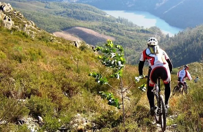 Casa Dos Bisavos- Slow Down Na Rota Do Romanico *