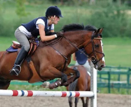 Casa Dos Bisavos- Slow Down Na Rota Do Romanico Πόρτο