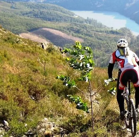 Casa Dos Bisavos- Slow Down Na Rota Do Romanico *