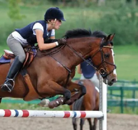Casa Dos Bisavos- Slow Down Na Rota Do Romanico Porto